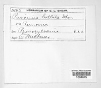 Image Associated With the Occurence